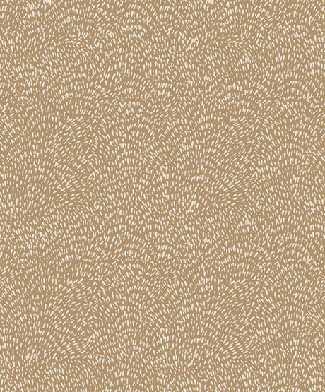 Eade's DWP0363-09-sample Rose Gold