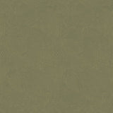 Galerie DWP0366-01 Gold Plaster Fan - Eade's Wallpaper