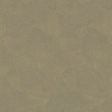 Galerie DWP0366-02 Gold Plaster Fan - Eade's Wallpaper