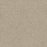 Galerie DWP0366-03 Beige Plaster Fan - Eade's Wallpaper