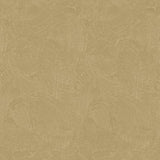 Galerie DWP0366-04 Gold Plaster Fan - Eade's Wallpaper