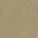 Galerie DWP0366-05 Rose Gold Plaster Fan - Eade's Wallpaper
