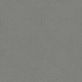 Galerie DWP0366-07 Silver Grey Plaster Fan - Eade's Wallpaper