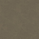 Galerie DWP0366-08 Rose Gold Plaster Fan - Eade's Wallpaper