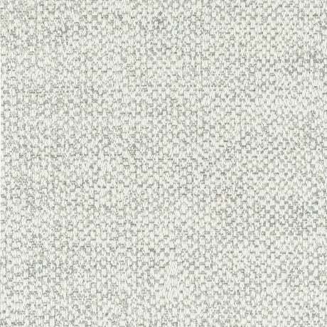 STOUT DWYE-5 DWYER 5 BIRCH Fabric - Eades Wallpaper & Fabric