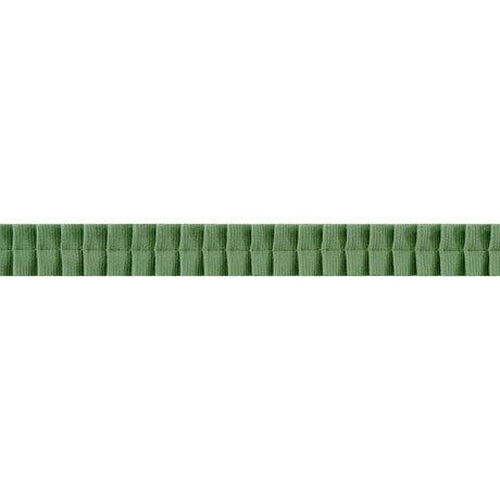 Thibaut PLEATED TAPE E12315 in Forest Trim - TAPES & TRIMS: 