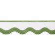 Thibaut WAVE TAPE E12331 in Leaf on White Trim - TAPES & TRI