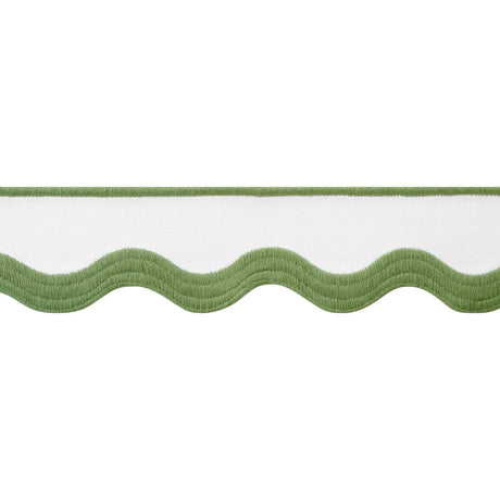 Thibaut WAVE TAPE E12331 in Leaf on White Trim - TAPES & TRI