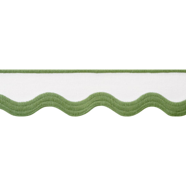Thibaut WAVE TAPE E12331 in Leaf on White Trim - TAPES & TRI