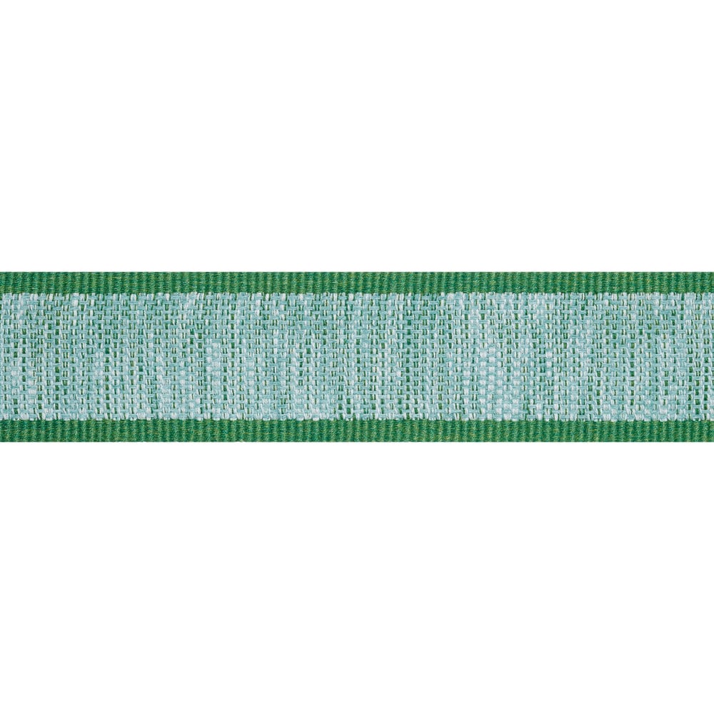 Thibaut FISHER TAPE E12402 in Kelly Trim - TAPES & TRIMS VOL