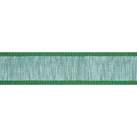 Thibaut FISHER TAPE E12402 in Kelly Trim - TAPES & TRIMS VOL