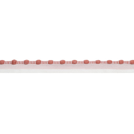 Thibaut CREW CORD E12406 in Clay Trim - TAPES & TRIMS VOL. 6