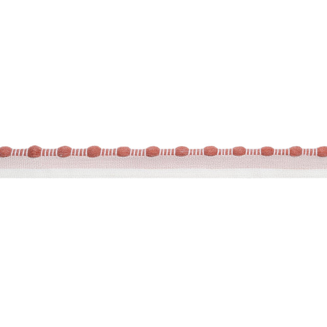Thibaut CREW CORD E12406 in Clay Trim - TAPES & TRIMS VOL. 6