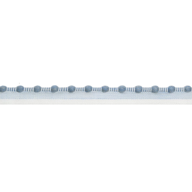 Thibaut CREW CORD E12408 in Spa Blue Trim - TAPES & TRIMS VO