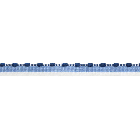 Thibaut CREW CORD E12410 in Navy Trim - TAPES & TRIMS VOL. 6