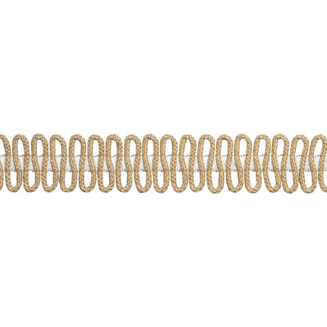 Thibaut SASHAY APPLIQUE E12433 in Caramel Trim - TAPES & TRI