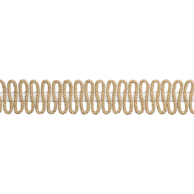 Thibaut SASHAY APPLIQUE E12433 in Caramel Trim - TAPES & TRI