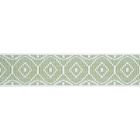 Thibaut KNOX TAPE E12447 in Leaf Trim - TAPES & TRIMS VOL. 6