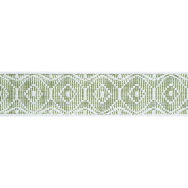 Thibaut KNOX TAPE E12447 in Leaf Trim - TAPES & TRIMS VOL. 6