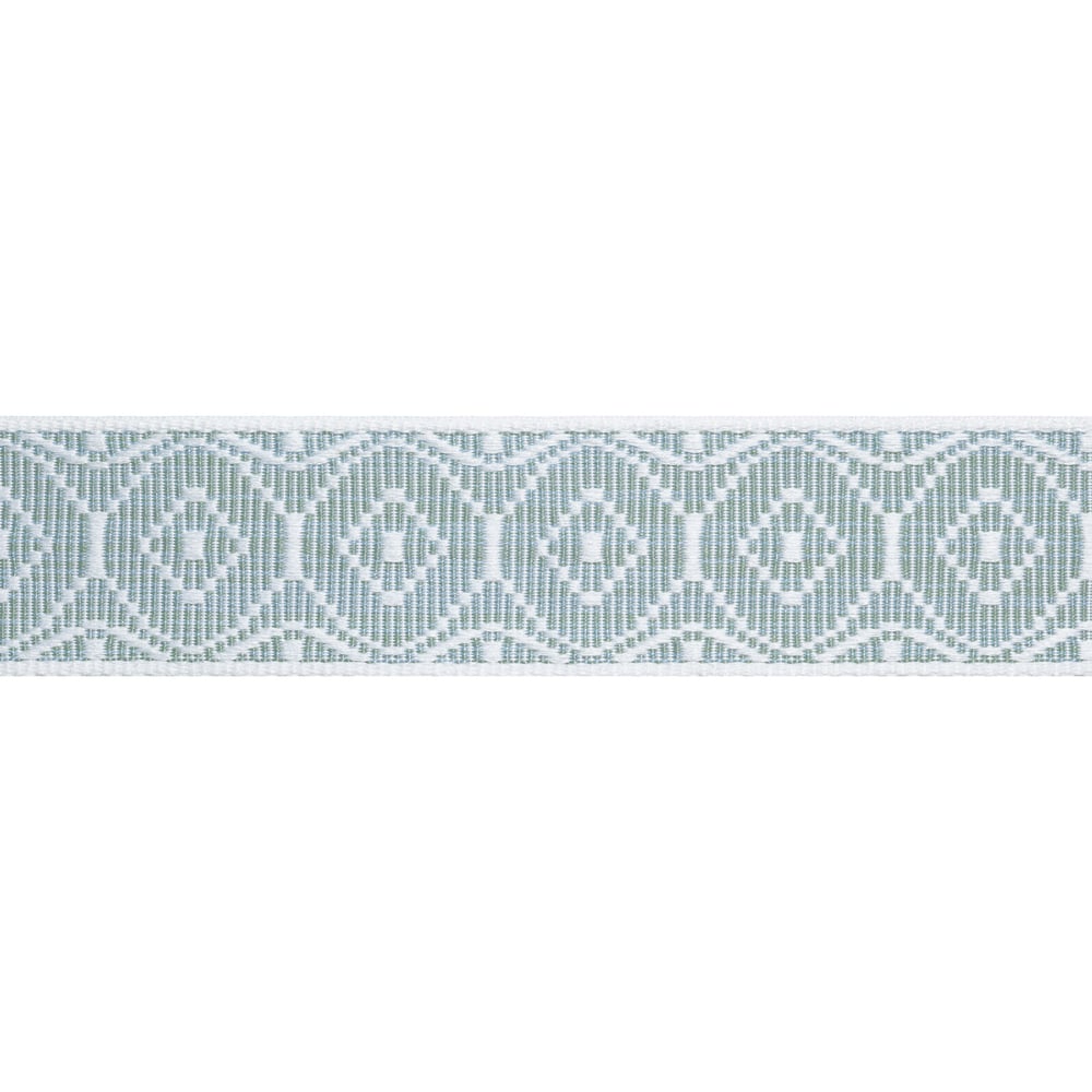 Thibaut KNOX TAPE E12448 in Aloe Trim - TAPES & TRIMS VOL. 6