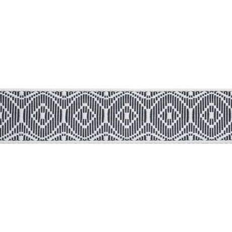 Thibaut KNOX TAPE E12452 in Onyx Trim - TAPES & TRIMS VOL. 6
