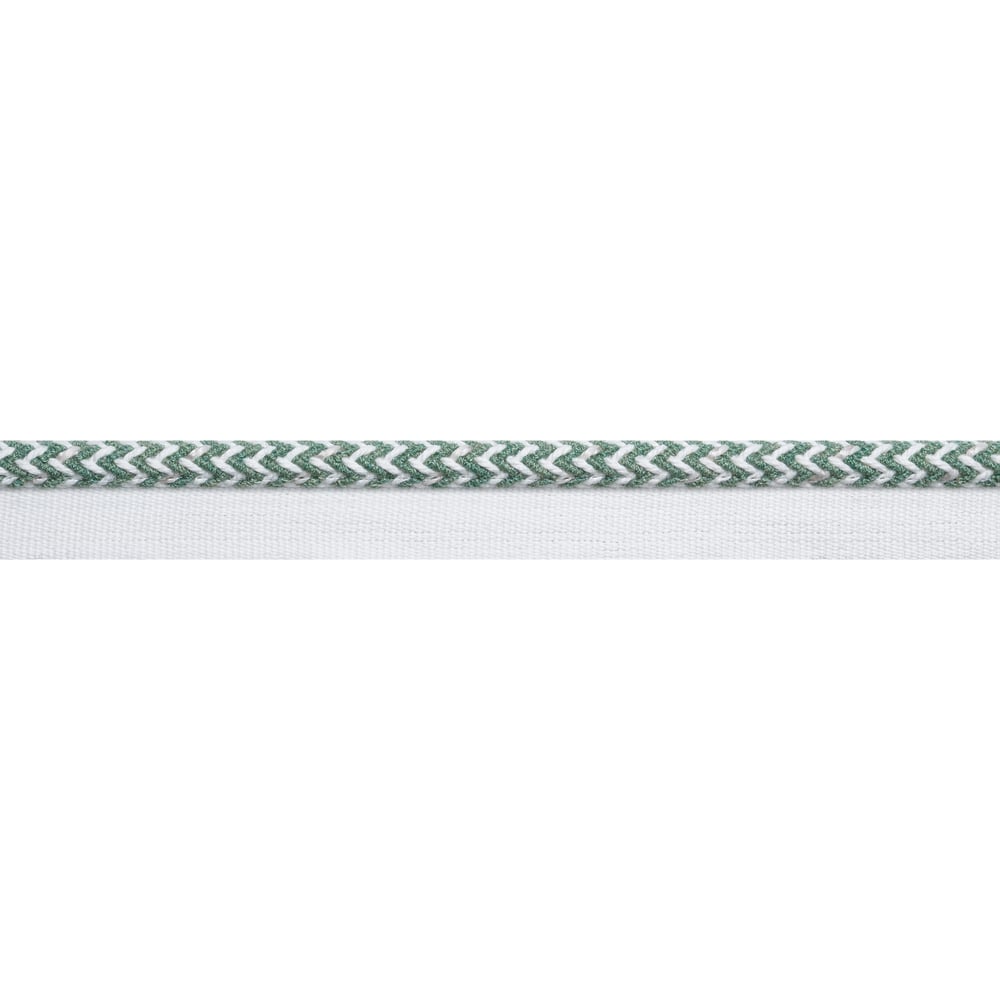 Thibaut CASPIAN CORD E12460 in Clover Trim - TAPES & TRIMS V