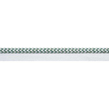 Thibaut CASPIAN CORD E12460 in Clover Trim - TAPES & TRIMS V