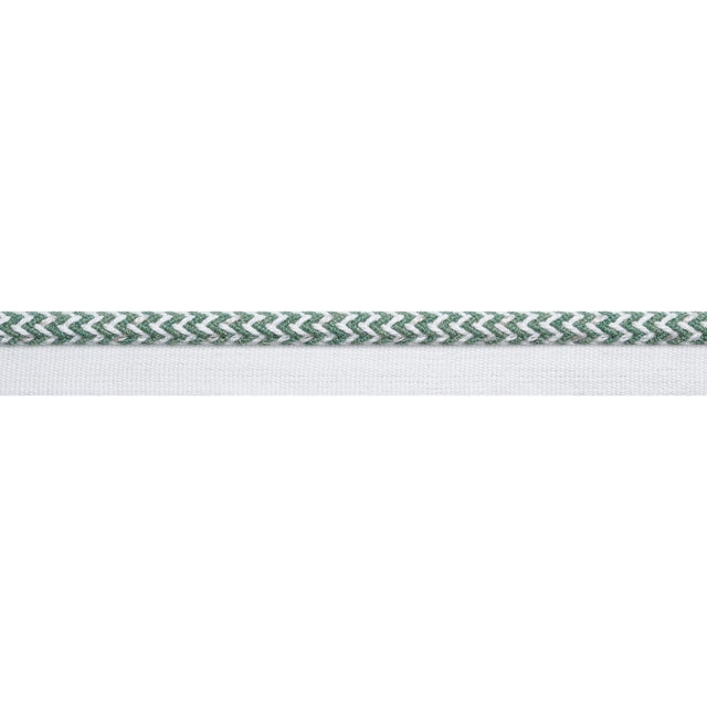 Thibaut CASPIAN CORD E12460 in Clover Trim - TAPES & TRIMS V
