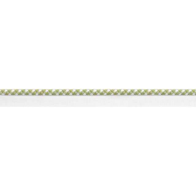 Thibaut SURREY CORD E81823 in Spring Green Trim - TAPES & TR