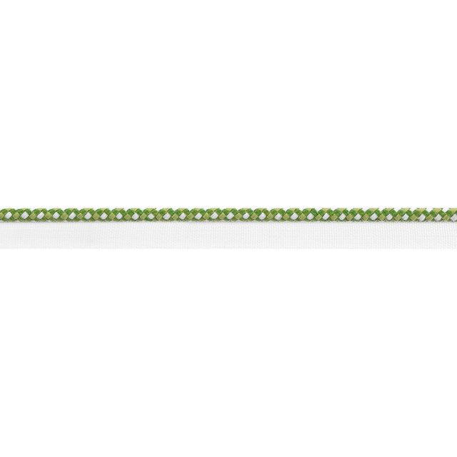 Thibaut SURREY CORD E81824 in Kelly Trim - TAPES & TRIMS VOL