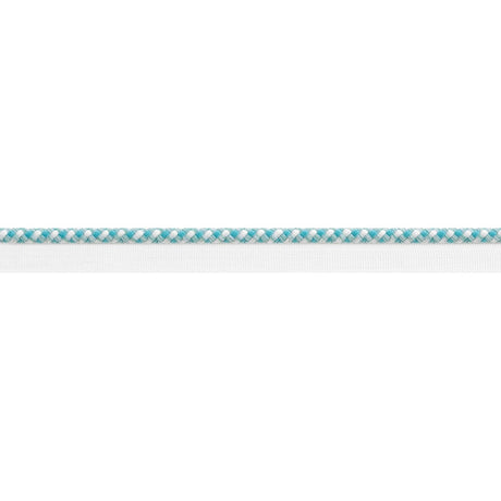 Thibaut SURREY CORD E81827 in Capri Trim - TAPES & TRIMS VOL