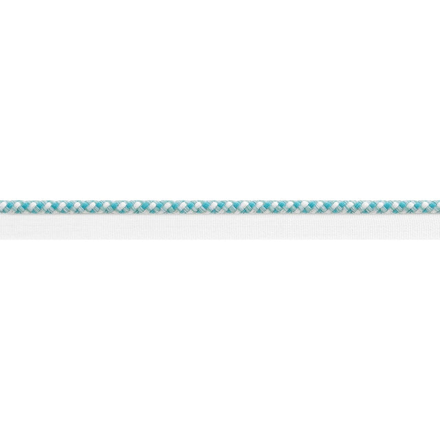 Thibaut SURREY CORD E81827 in Capri Trim - TAPES & TRIMS VOL