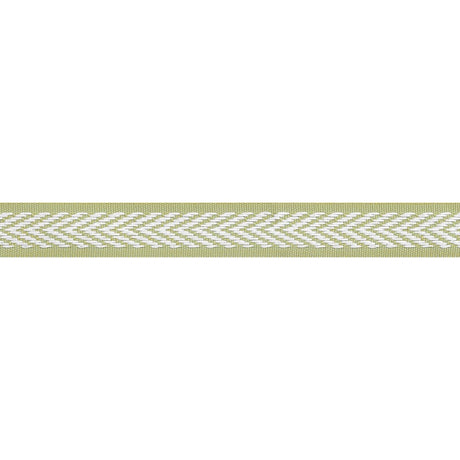 Thibaut WESTPORT TAPE E81837 in Spring Green Trim - TAPES & 