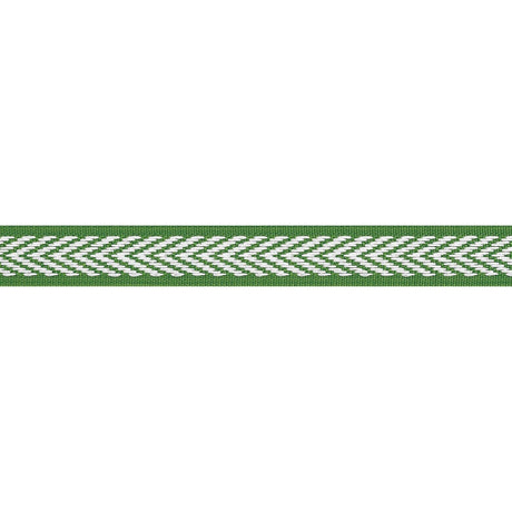 Thibaut WESTPORT TAPE E81839 in Kelly Trim - TAPES & TRIMS V