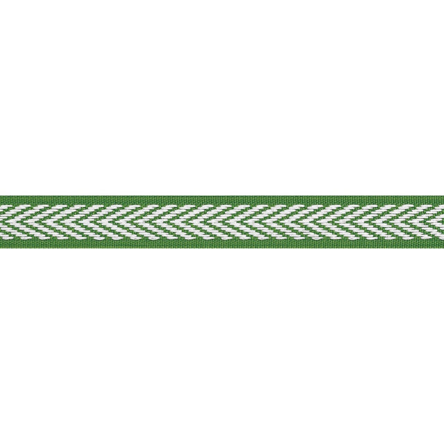 Thibaut WESTPORT TAPE E81839 in Kelly Trim - TAPES & TRIMS V