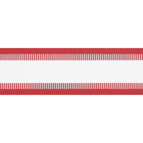 Thibaut NORDIA TAPE E81848 in Cranberry Trim - TAPES & TRIMS