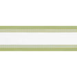 Thibaut NORDIA TAPE E81850 in Spring Green Trim - TAPES & TR