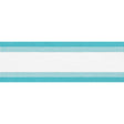 Thibaut NORDIA TAPE E81852 in Capri Trim - TAPES & TRIMS VOL
