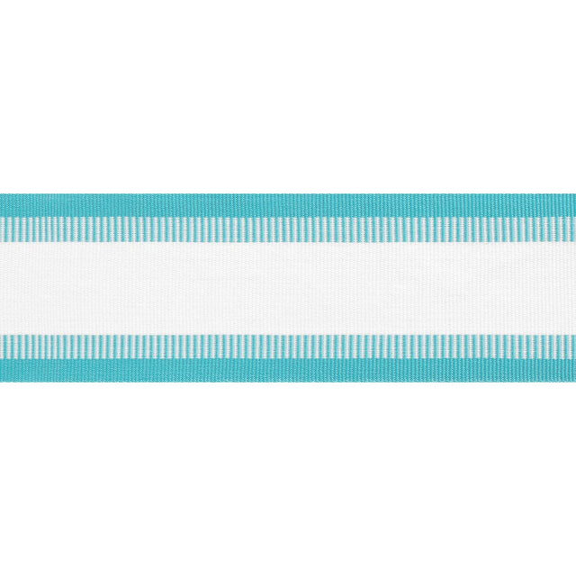 Thibaut NORDIA TAPE E81852 in Capri Trim - TAPES & TRIMS VOL
