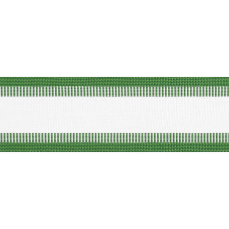 Thibaut NORDIA TAPE E81856 in Kelly Trim - TAPES & TRIMS VOL