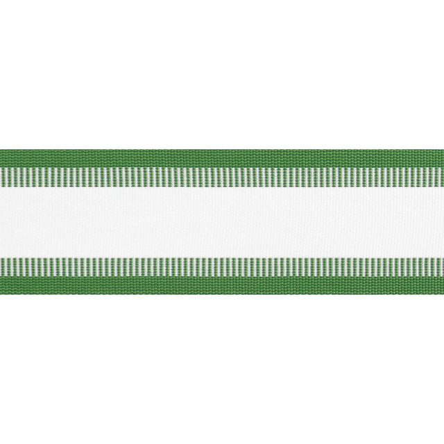 Thibaut NORDIA TAPE E81856 in Kelly Trim - TAPES & TRIMS VOL