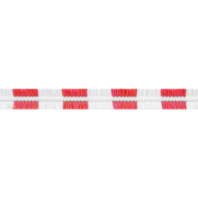 Thibaut EASTON FRINGE E81860 in Watermelon Trim - TAPES & TR