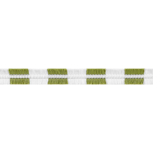 Thibaut EASTON FRINGE E81861 in Spring Green Trim - TAPES & 