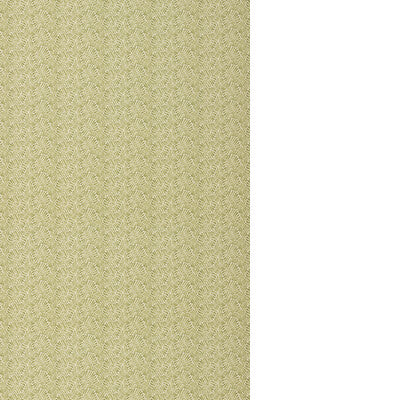 THREADS WAVE ED75052.795.0 in MOSS Wallpaper - WINCH INDOOR-