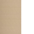 THREADS HALO ED75053.116.0 in CLOUD Wallpaper - WINCH INDOOR