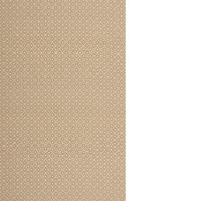 THREADS HALO ED75053.116.0 in CLOUD Wallpaper - WINCH INDOOR