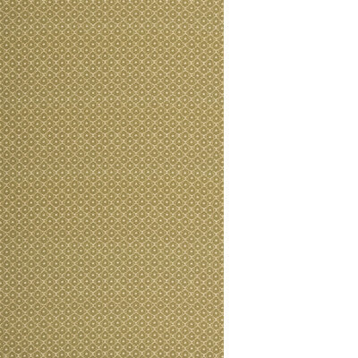 THREADS HALO ED75053.795.0 in MOSS Wallpaper - WINCH INDOOR-