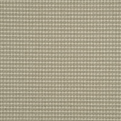 THREADS ED85058.780.0 AVANI SILVER BIRCH Fabric - Eade's Wallpaper