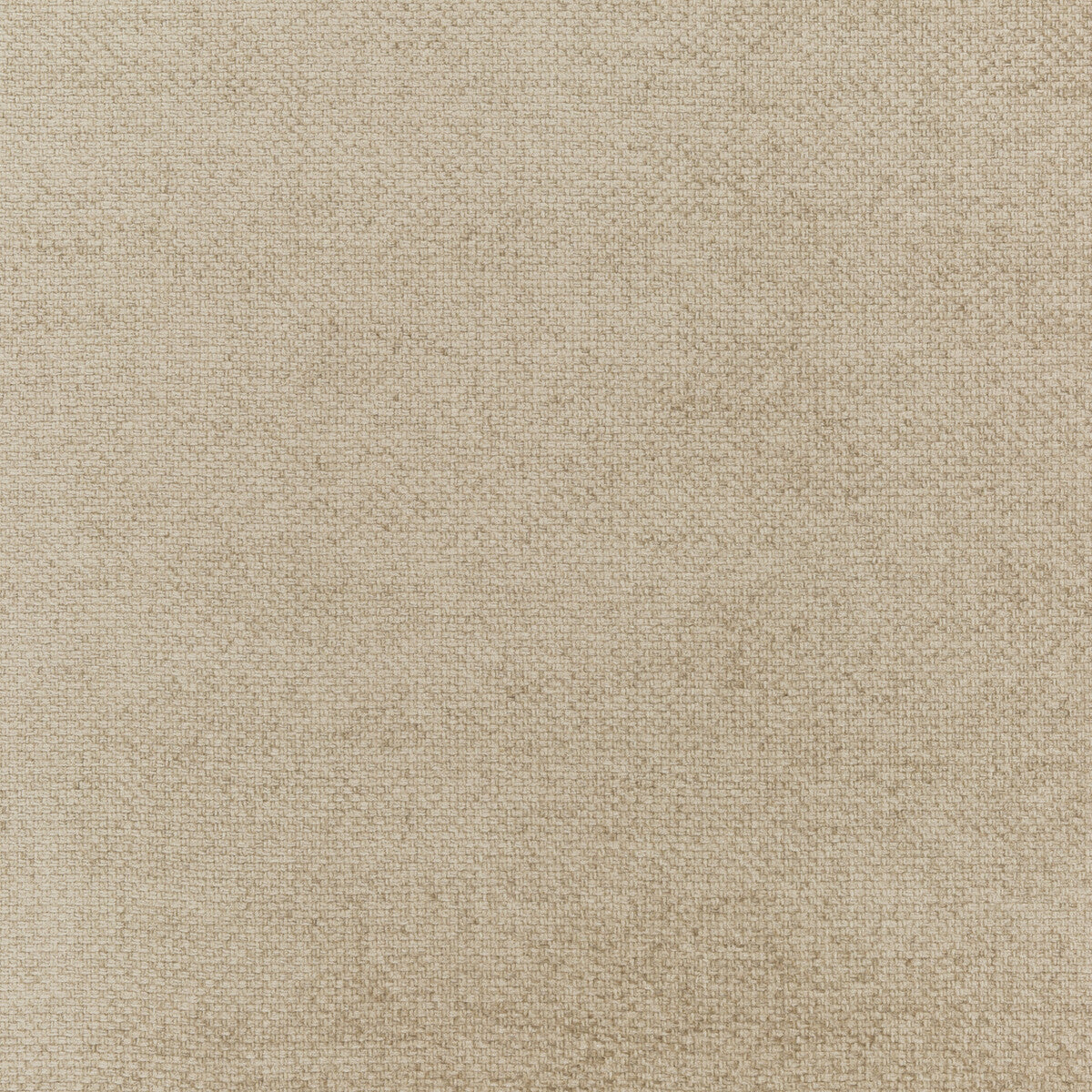 THREADS ED85251.170.0 CAMI CHAMPAGNE Fabric - Eade's Wallpaper