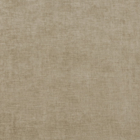THREADS ED85292.230.0 MERIDIAN VELVET OATMEAL Fabric - Eade's Wallpaper